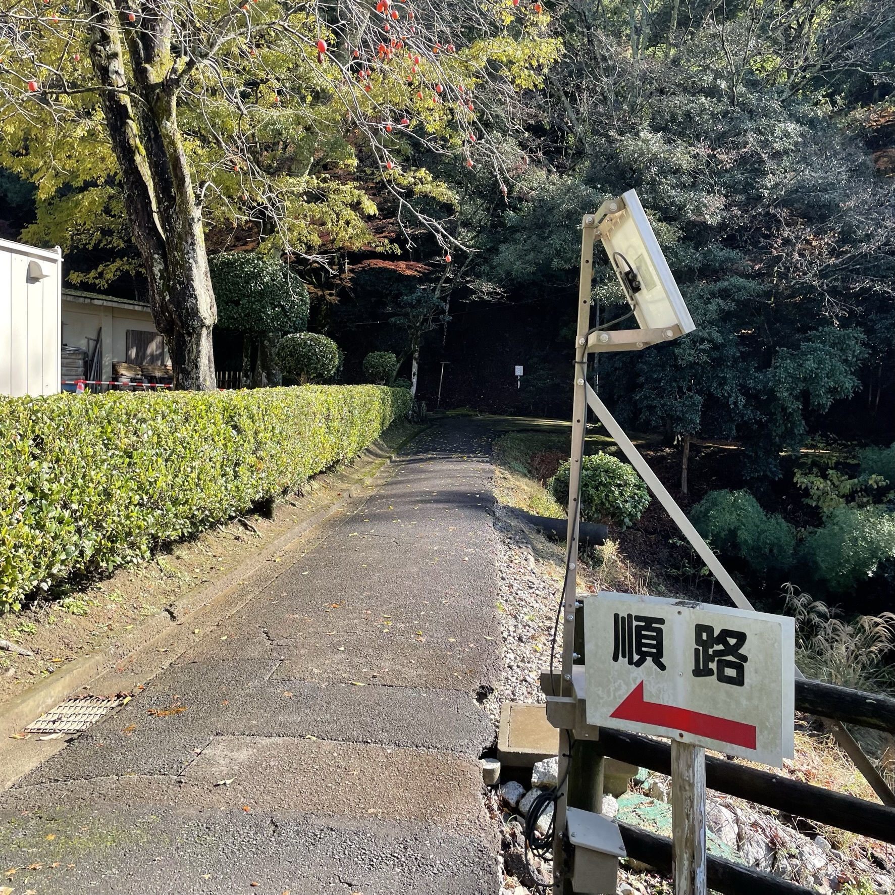 鳥取藩主 池田家墓所で絶景の紅葉を満喫!|レポート|ミセミル鳥取