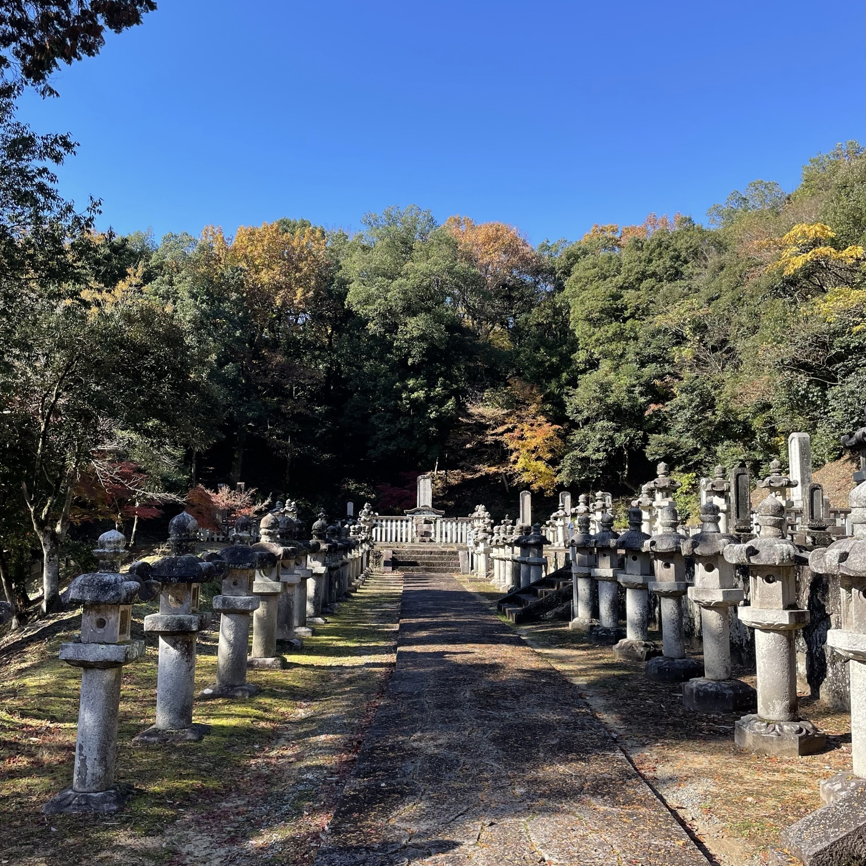 鳥取藩主 池田家墓所で絶景の紅葉を満喫！｜レポート｜ミセミル鳥取